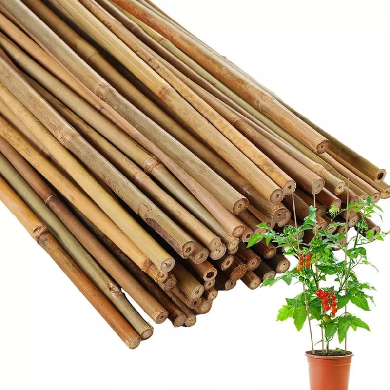 Estaca Tutor de Bambu Natural Tratado Ecológico - 30 Peças