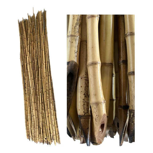 Estaca Tutor de Bambu Natural Tratado Ecológico - 30 Peças