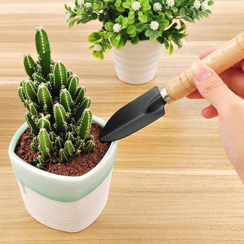 Kit de Jardinagem Mini Garfo e Pazinha – Compacto e Funcional para Pequenos Espaços