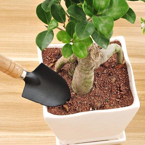 Mini Kit de Jardinagem 3 Peças com Cabo de Madeira