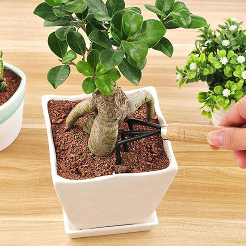 Mini Kit de Jardinagem 3 Peças com Cabo de Madeira